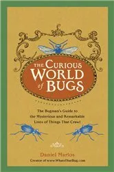 Book cover of The Curious World of Bugs by Daniel Marlos