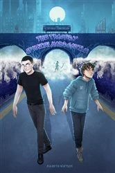 Book cover of The Custodian Chronicles by Gareth Watson