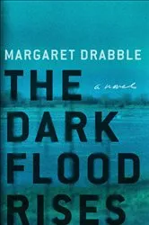 Book cover of The Dark Flood Rises by Unknown