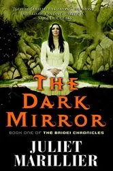 Book cover of The Dark Mirror by Juliet Marillier