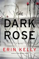 Book cover of The Dark Rose by Erin Kelly