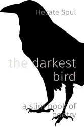 Book cover of the darkest bird by Jude naples