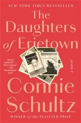 Book cover of The Daughters of Erietown by Connie Schultz