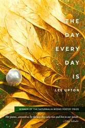 Book cover of The Day Every Day Is by Lee Upton