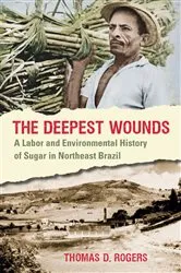 Book cover of The Deepest Wounds by Thomas D. Rogers