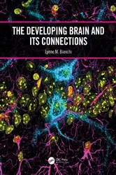 Book cover of The Developing Brain and its Connections by Lynne M. Bianchi