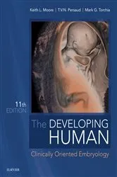 Book cover of The Developing Human - E-Book (11th ed.) by Moore BA, MSc, PhD, DSc, FIAC, FRSM, FAAA, Keith L.
