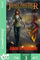 Book cover of The Diamond and the Rough by Jason Anderson