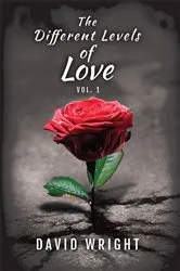 Book cover of The Different Levels of Love, Volume 1 by David Wright