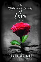 Book cover of The Different Levels of Love, Volume 2 by David Wright