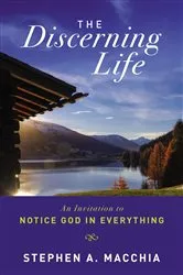 Book cover of The Discerning Life by Stephen Macchia