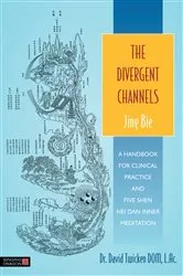Book cover of The Divergent Channels - Jing Bie by David Twicken