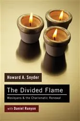 Book cover of The Divided Flame by Howard A. Snyder