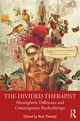 Book cover of The Divided Therapist by Rod Tweedy