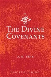 Book cover of The Divine Covenants by Unknown