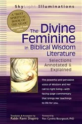 Book cover of The Divine Feminine in Biblical Wisdom Literature by Rabbi Rami Shapiro