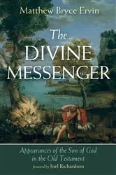 Book cover of The Divine Messenger by Matthew Bryce Ervin