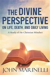Book cover of The Divine Perspective by John Marinelli
