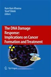 Book cover of The DNA Damage Response: Implications on Cancer Formation and Treatment by Kum Kum Khanna