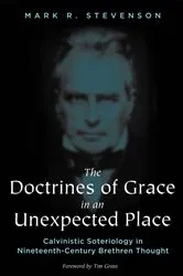 Book cover of The Doctrines of Grace in an Unexpected Place by Mark R. Stevenson