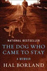 Book cover of The Dog Who Came to Stay by Hal Borland