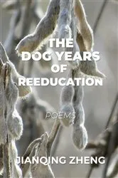 Book cover of The Dog Years of Reeducation by Jianqing Zheng