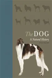 Book cover of The Dog by Kerstin Ekman