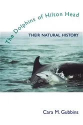 Book cover of The Dolphins of Hilton Head by Cara M. Gubbins