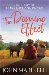 Book cover of The Domino Effect by John Marinelli