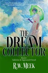 Book cover of The Dream Collector by R.w. Meek