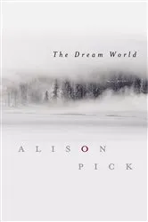 Book cover of The Dream World by Alison Pick