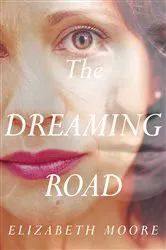 Book cover of The Dreaming Road by Elizabeth Moore