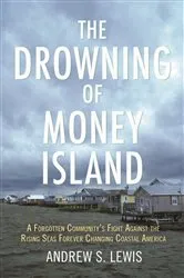 Book cover of The Drowning of Money Island by Andrew S. Lewis