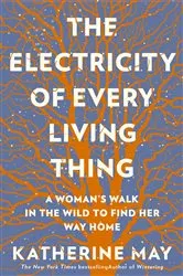 Book cover of The Electricity of Every Living Thing by Katherine May