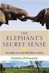 Book cover of The Elephant's Secret Sense by Caitlin O'Connell