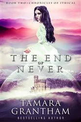 Book cover of The End of Never by Tamara Grantham