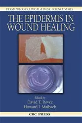 Book cover of The Epidermis in Wound Healing by David T. Rovee