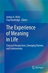 Book cover of The Experience of Meaning in Life by Joshua A. Hicks