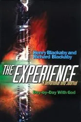Book cover of The Experience by Lior Arussy