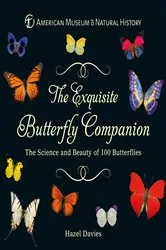 Book cover of The Exquisite Butterfly Companion by American Museum of Natural History
