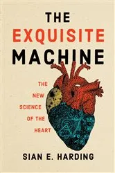 Book cover of The Exquisite Machine by Sian E. Harding