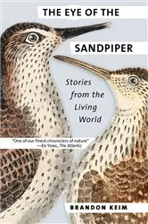 Book cover of The Eye of the Sandpiper by Brandon Keim