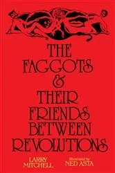 Book cover of The Faggots and Their Friends Between Revolutions by Larry Mitchell