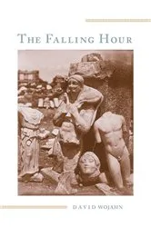 Book cover of The Falling Hour by David Wojahn