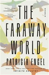 Book cover of The Faraway World by Patricia Engel