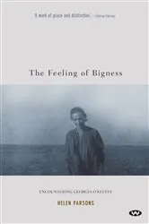 Book cover of The Feeling of Bigness by Helen Parsons