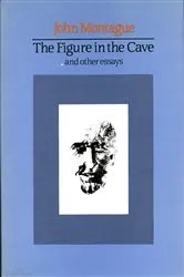 Book cover of The Figure in the Cave by John Montague