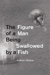 Book cover of The Figure of a Man Being Swallowed by a Fish by Joshua Weiner