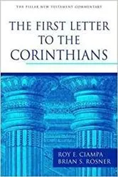 Book cover of The First Letter to the Corinthians by Roy E Ciampa