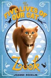 Book cover of The Five Lives of Our Cat Zook by Joanne Rocklin